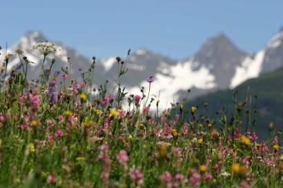 Landschaft_Serfaus-Fiss-Ladis.jpg