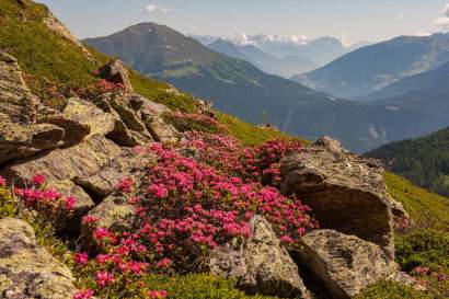 Gebirgslandschaft_Serfaus-Fiss-Ladis.jpg