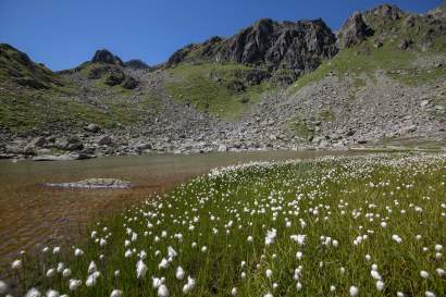 Sommerbachl_Serfaus-Fiss-Ladis.jpg